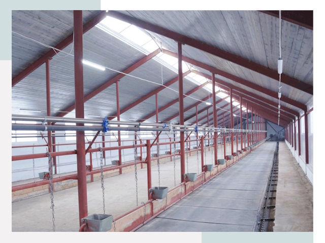 Строительство коровников в Владикавказе от 618 руб.