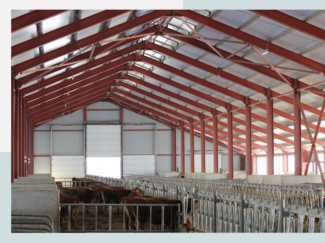 Строительство коровников в Владикавказе